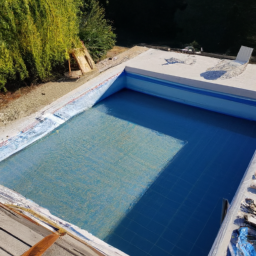 Accessoires et Produits d'Entretien : Maintenez votre Piscine dans un État Impeccable Venissieux